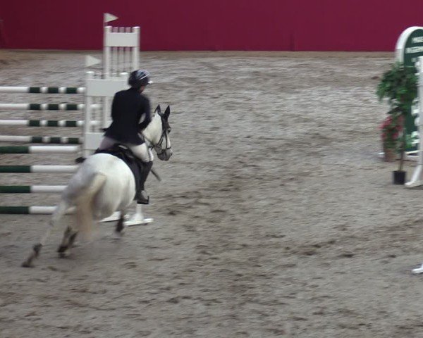 Reitturnier Krumke 2024