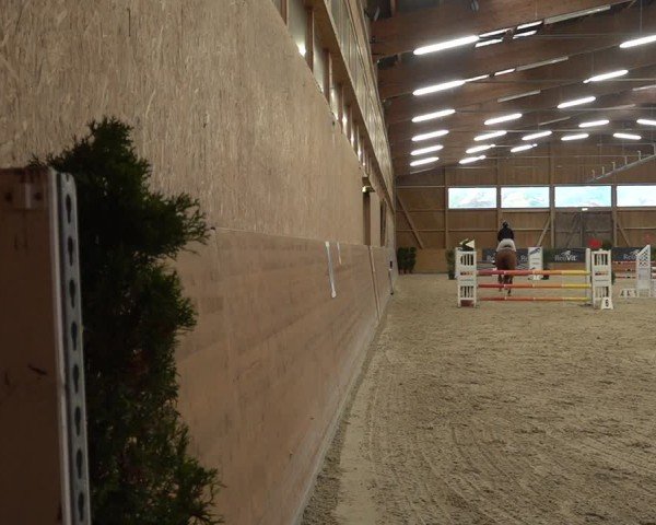 Reitturnier Holziken 2024