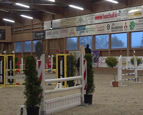 Reitturnier Holziken 2024