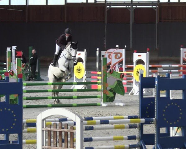 Reitturnier Tremsdorf, Eichenhof 2024