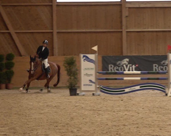 Reitturnier Holziken 2024