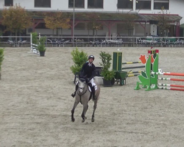 Reitturnier Achern 2024