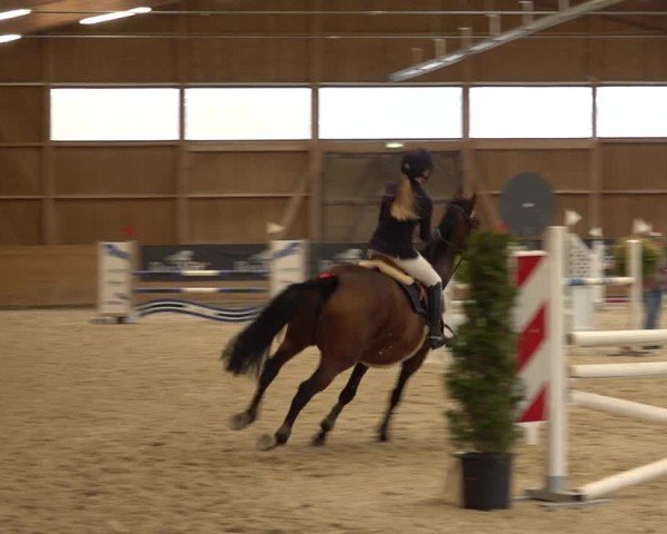 Reitturnier Holziken 2024