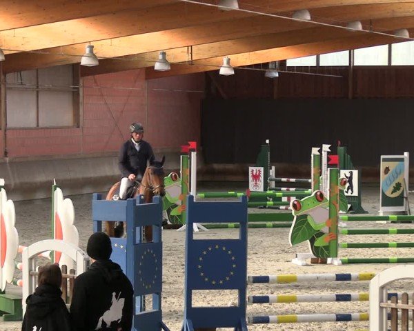 Reitturnier Tremsdorf, Eichenhof 2024