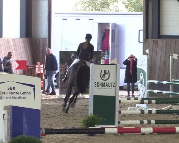 Reitturnier Zwickau 2024