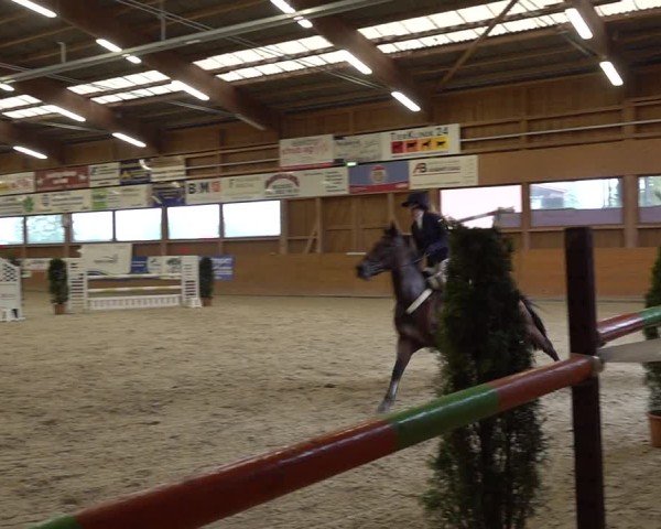Reitturnier Holziken 2024