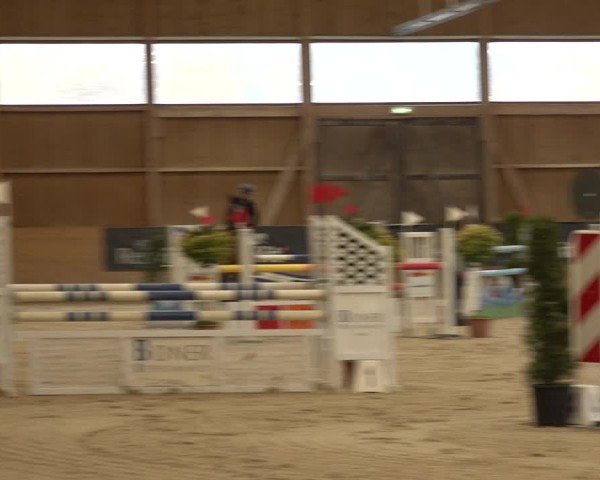 Reitturnier Holziken 2024