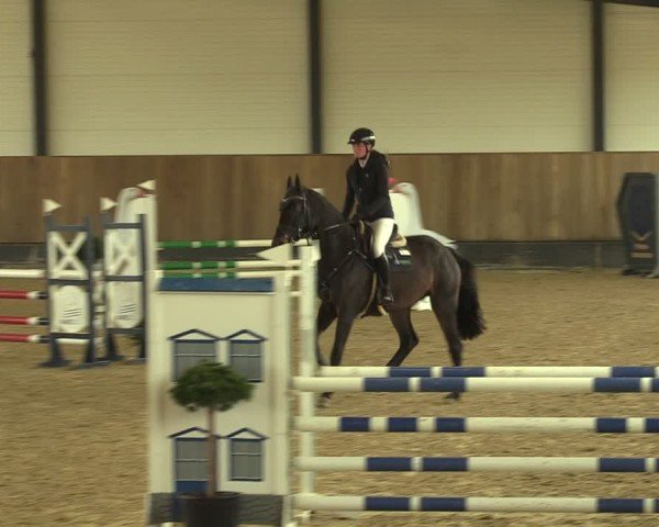 Reitturnier Zwickau 2024