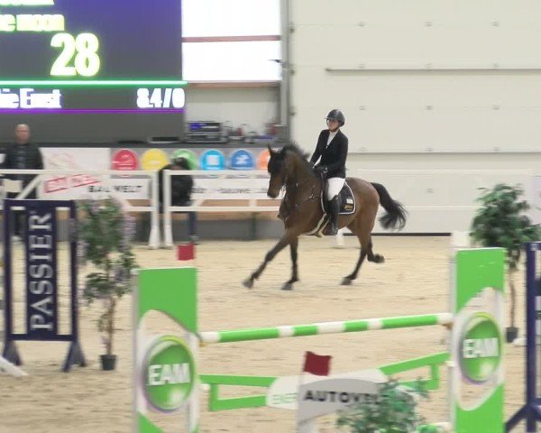 Reitturnier Borken 2024