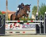 jumper S.I.E.C. Coco Landa (Oldenburg show jumper, 2010, from Corat)