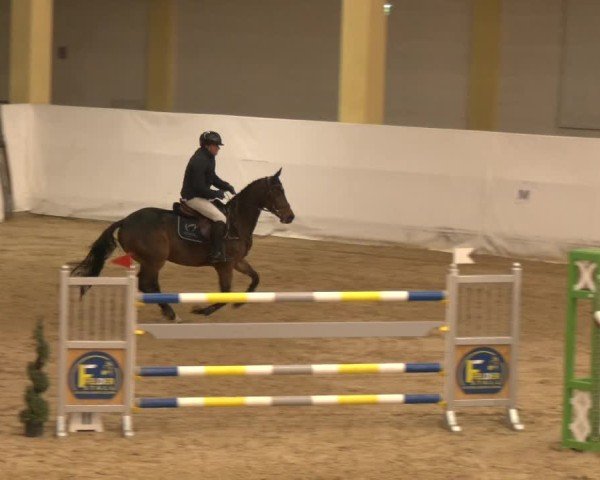Reitturnier Stadl-Paura 2024