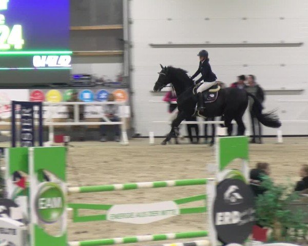 Reitturnier Borken 2024