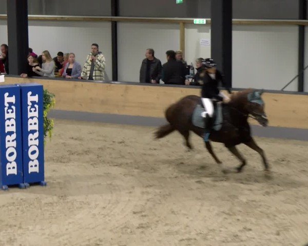 Reitturnier Borken 2024