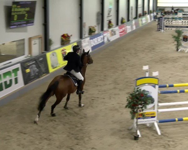 Reitturnier Borken 2024