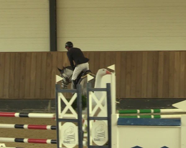 Reitturnier Zwickau 2024