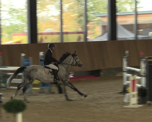 Reitturnier Zwickau 2024