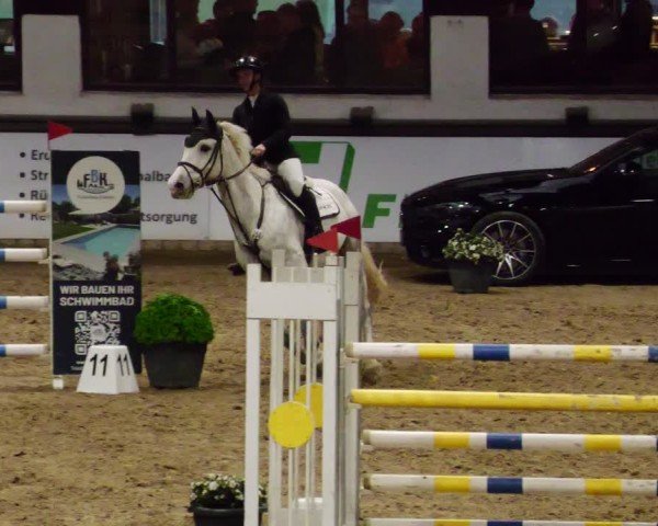 Reitturnier Neuwied 2024