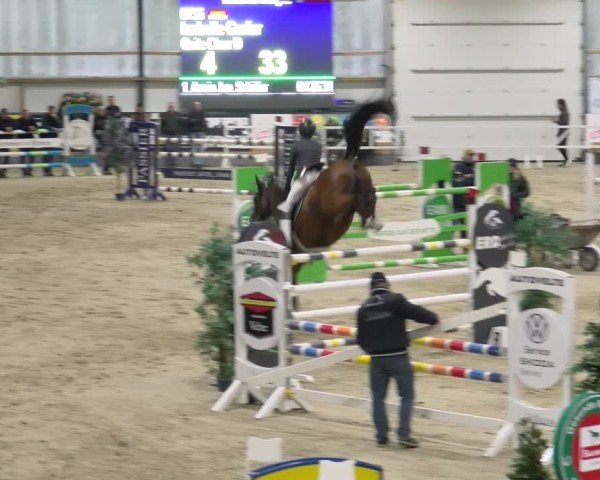 Reitturnier Borken 2024