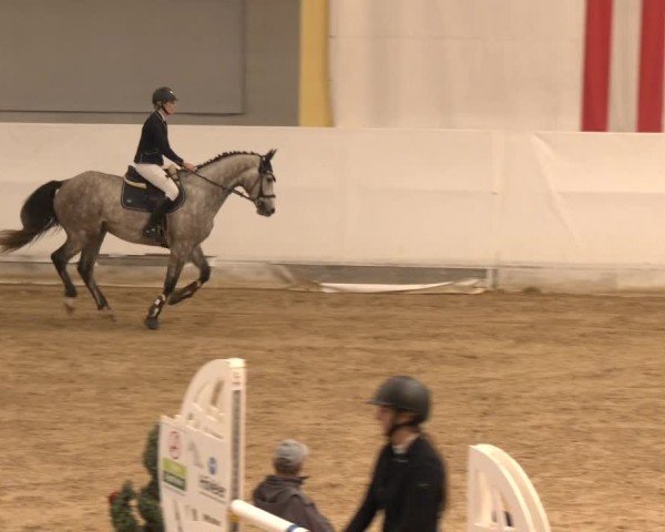 Reitturnier Stadl-Paura 2024