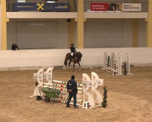 Reitturnier Stadl-Paura 2024