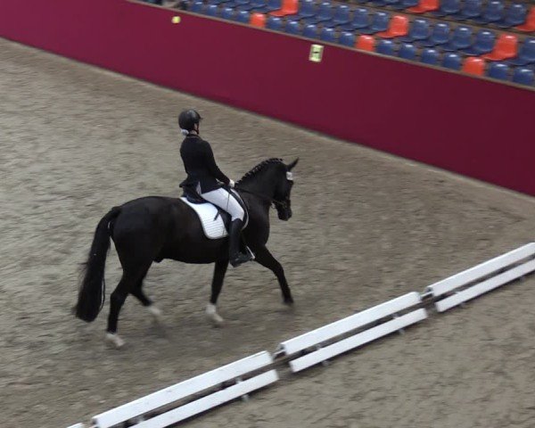 Reitturnier Krumke 2024