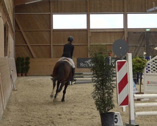 Reitturnier Holziken 2024