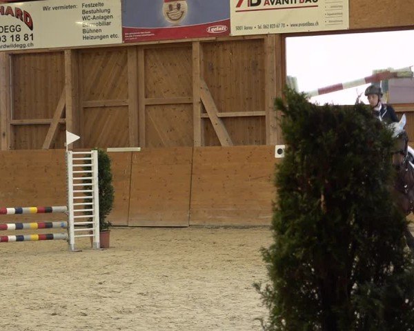 Reitturnier Holziken 2024