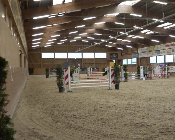 Reitturnier Holziken 2024