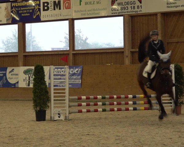 Reitturnier Holziken 2024