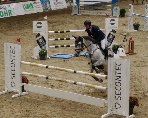 Reitturnier Neuwied 2024