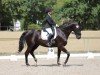 dressage horse Donnovan 6 (Rhinelander, 2012, from Dresemann)