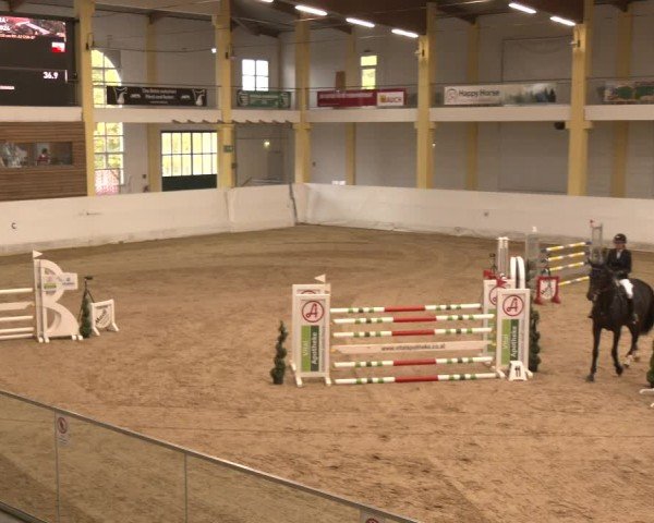 Reitturnier Stadl-Paura 2024