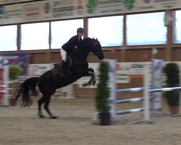 Reitturnier Holziken 2024