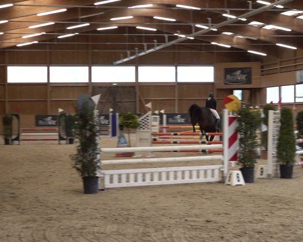 Reitturnier Holziken 2024