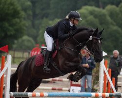 jumper Donauzauber 5 (Trakehner, 2012, from Heuberger TSF)