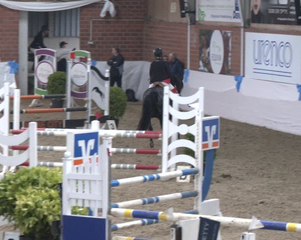 Reitturnier Gronau 2024