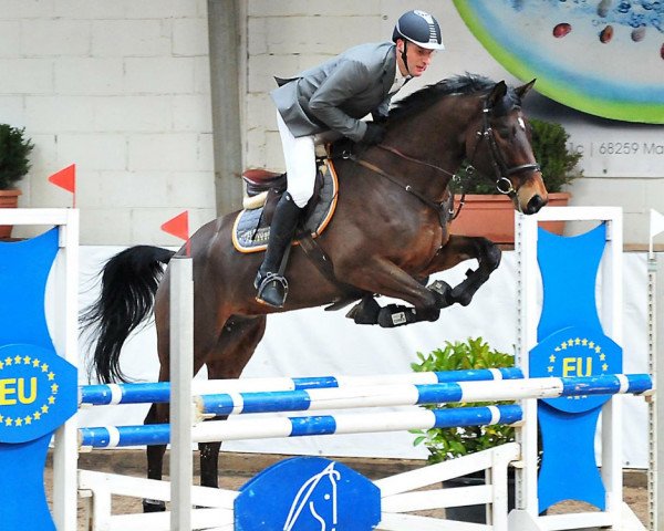 jumper Varos (Trakehner, 2012, from Tarison)