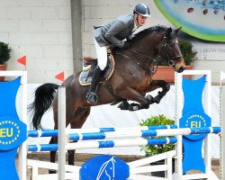 jumper Varos (Trakehner, 2012, from Tarison)