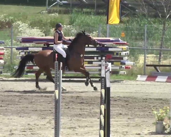 Leutkirch-Haid 2013