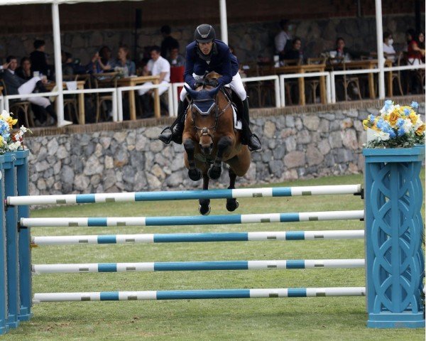 Zuchtstute Fille des Sequoias (Belgium Sporthorse, 2011, von Emilion)