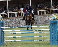 broodmare Fille des Sequoias (Belgium Sporthorse, 2011, from Emilion)