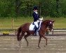 dressage horse Nanu-Nana S (German Riding Pony, 2007, from Don't Worry Be Happy)