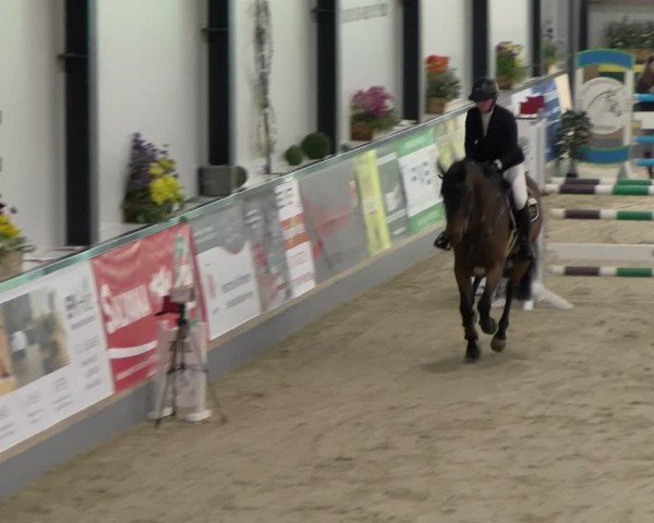 Reitturnier Borken 2024