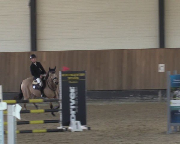 Reitturnier Zwickau 2024