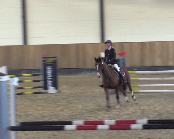 Reitturnier Zwickau 2024