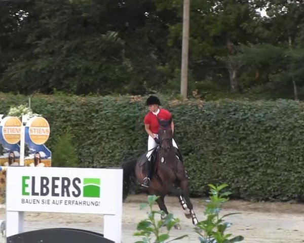Vinnummer Reitertage 2013