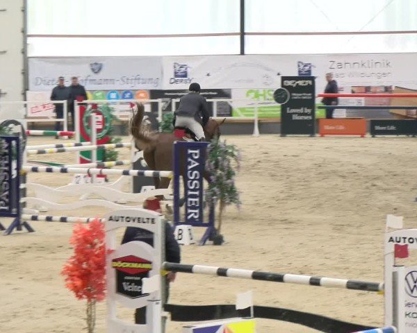 Reitturnier Borken 2024