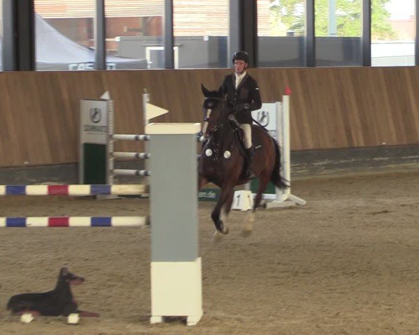 Reitturnier Zwickau 2024