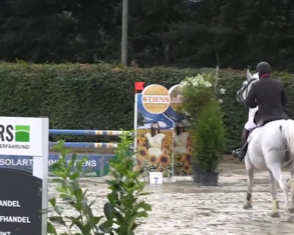 Vinnummer Reitertage 2013