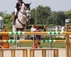 jumper Frascati van Ter Hulst (Belgian Warmblood, 2005, from Cassini I)